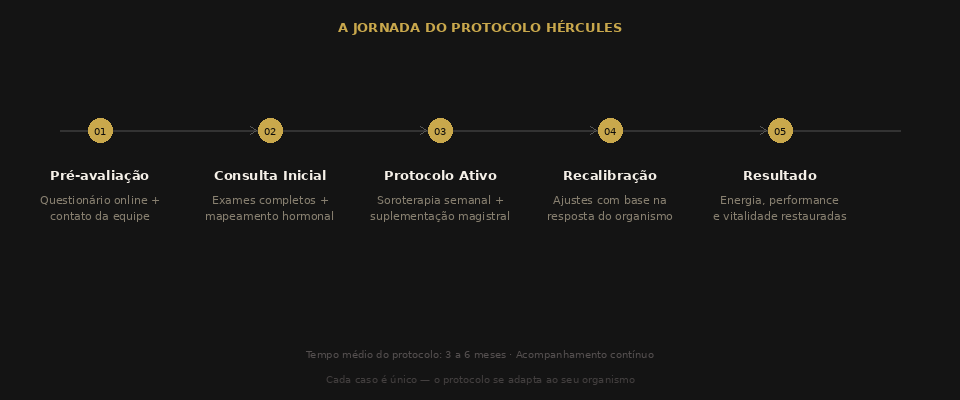A Jornada do Protocolo Hércules